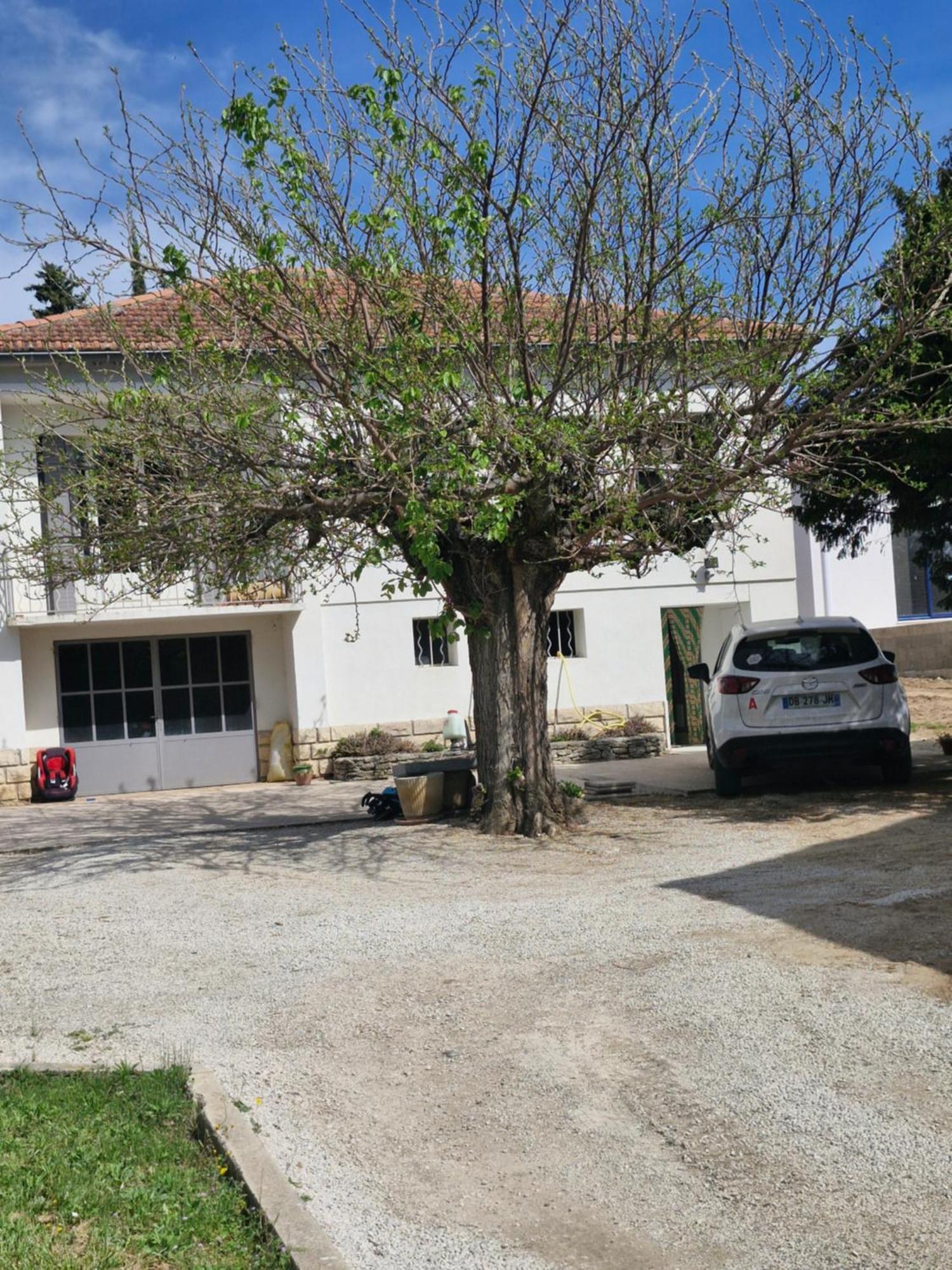 Maison Le Murier Aubignan Exterior foto